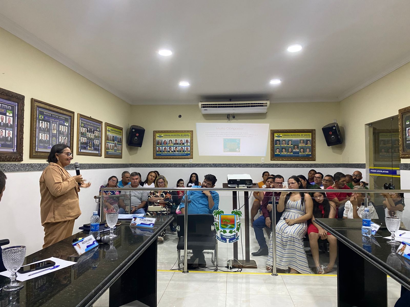 Foto 03 - 9ª Sessão Ordinária de 2025.jpg