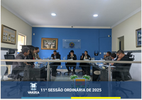 11ª Sessão Ordinária de 2025