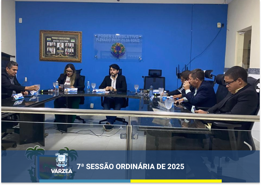 7ª Sessão Ordinária de 2025